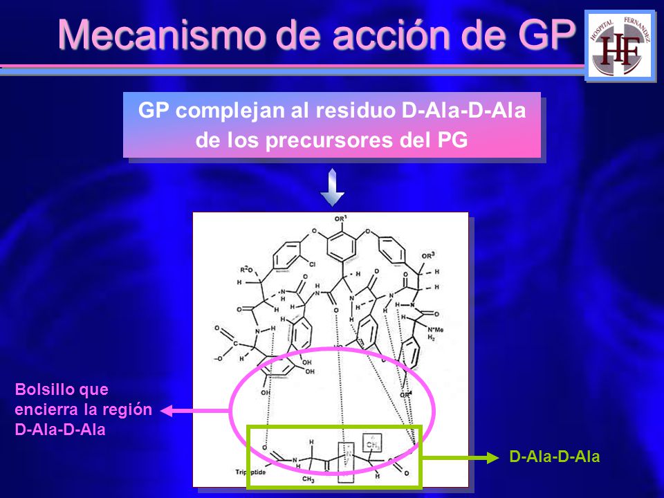 GP complejan al residuo D-Ala-D-Ala de los precursores del PG