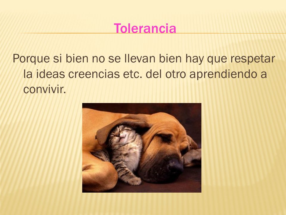 Tolerancia Porque si bien no se llevan bien hay que respetar la ideas creencias etc.