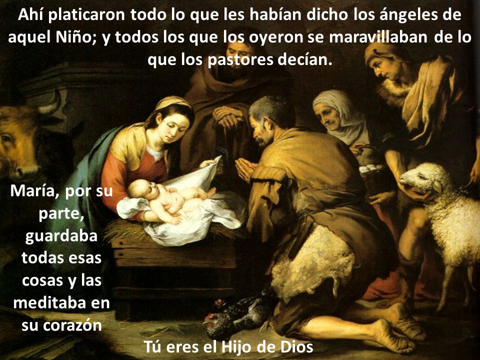 Ahí platicaron todo lo que les habían dicho los ángeles de aquel Niño; y todos los que los oyeron se maravillaban de lo que los pastores decían.
