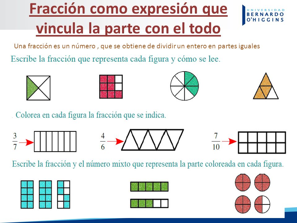 Fracción como expresión que vincula la parte con el todo
