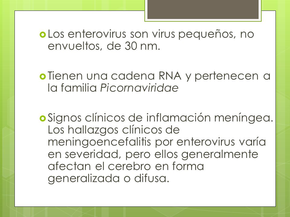 Los enterovirus son virus pequeños, no envueltos, de 30 nm.