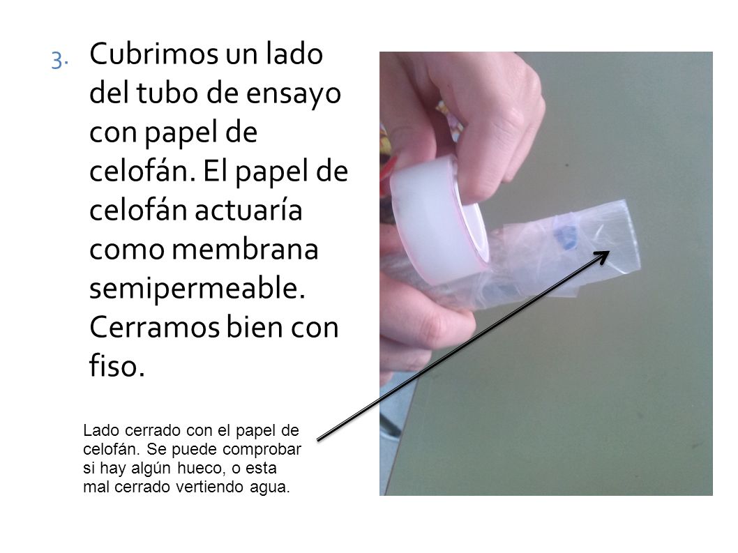 Cubrimos un lado del tubo de ensayo con papel de celofán
