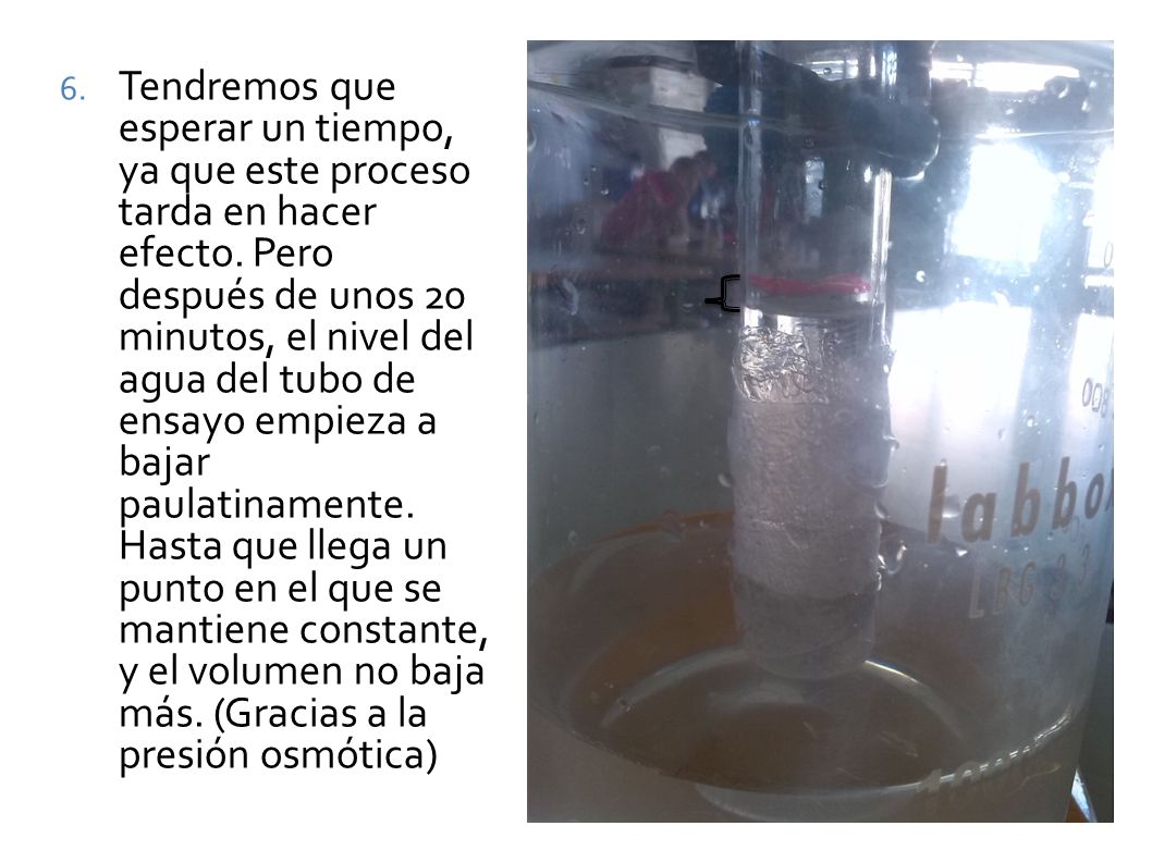 Tendremos que esperar un tiempo, ya que este proceso tarda en hacer efecto.