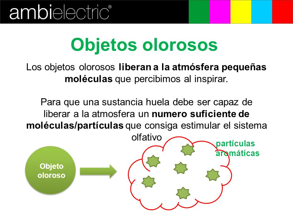 Objetos olorosos Los objetos olorosos liberan a la atmósfera pequeñas moléculas que percibimos al inspirar.
