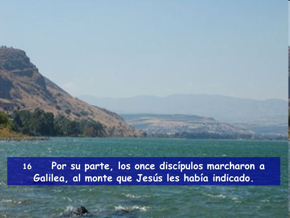 16 Por su parte, los once discípulos marcharon a Galilea, al monte que Jesús les había indicado.