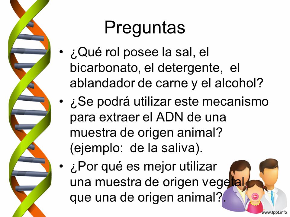 Preguntas ¿Qué rol posee la sal, el bicarbonato, el detergente, el ablandador de carne y el alcohol