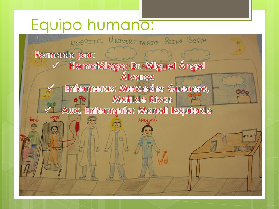 Equipo humano: Formado por: Hematólogo: Dr. Miguel Ángel Álvarez