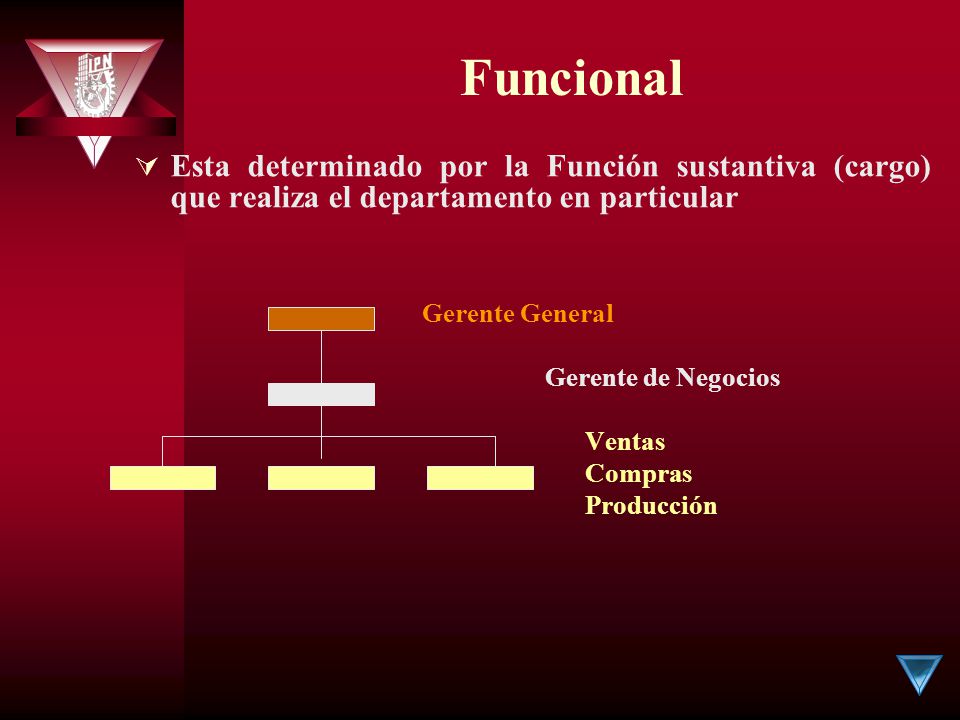 Funcional Esta determinado por la Función sustantiva (cargo) que realiza el departamento en particular.