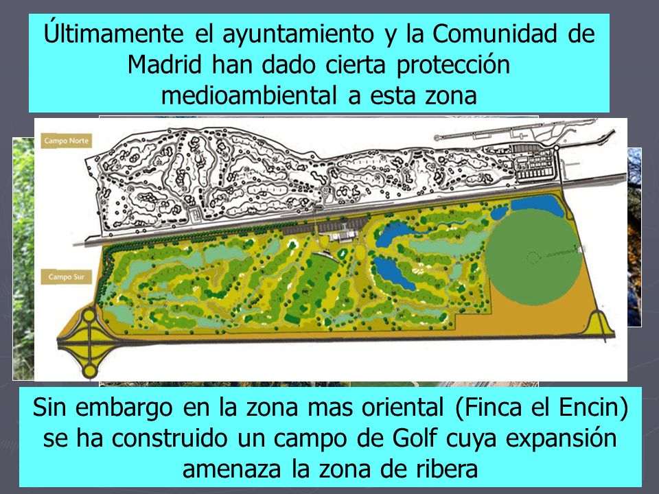 Últimamente el ayuntamiento y la Comunidad de Madrid han dado cierta protección medioambiental a esta zona