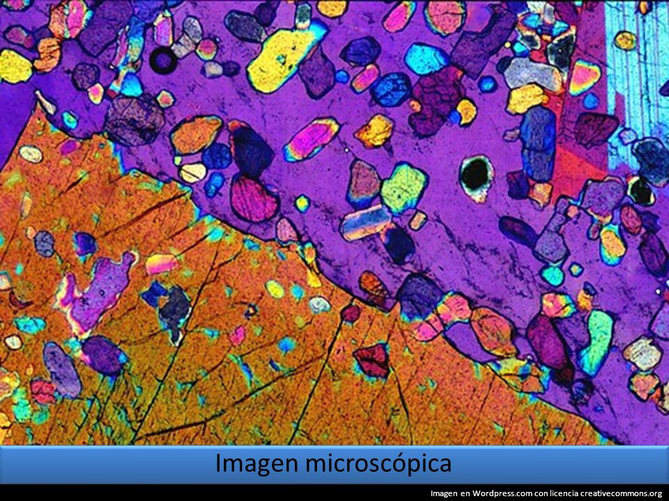 Imagen microscópica Imagen en Wordpress.com con licencia creativecommons.org