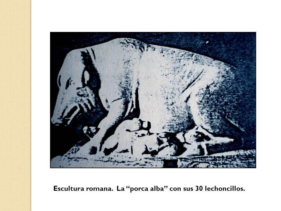 Escultura romana. La porca alba con sus 30 lechoncillos.