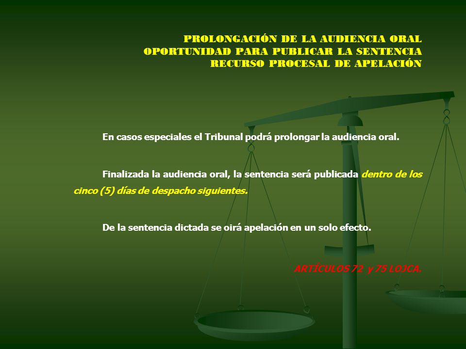 En casos especiales el Tribunal podrá prolongar la audiencia oral.