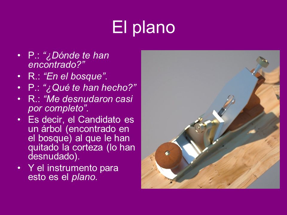 El plano P.: ¿Dónde te han encontrado R.: En el bosque .