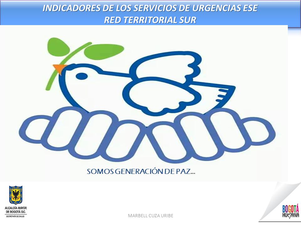 INDICADORES DE LOS SERVICIOS DE URGENCIAS ESE RED TERRITORIAL SUR