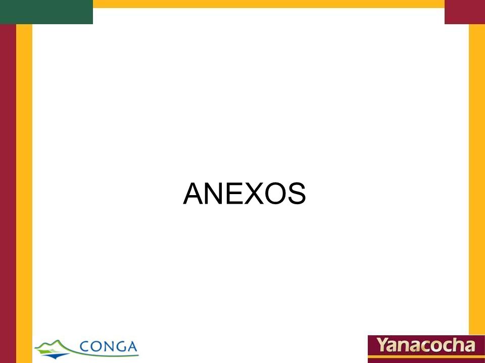 ANEXOS