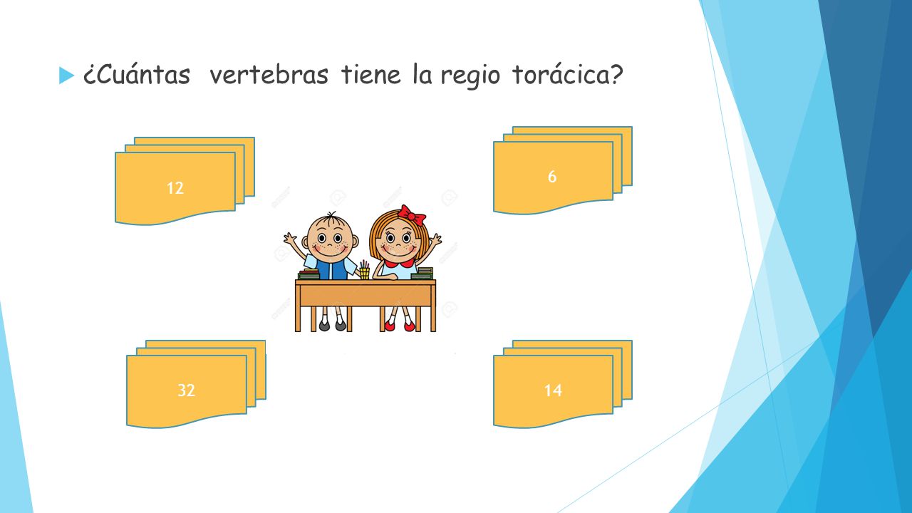 ¿Cuántas vertebras tiene la regio torácica