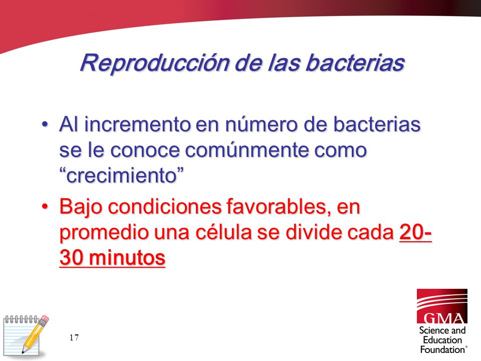 Reproducción de las bacterias