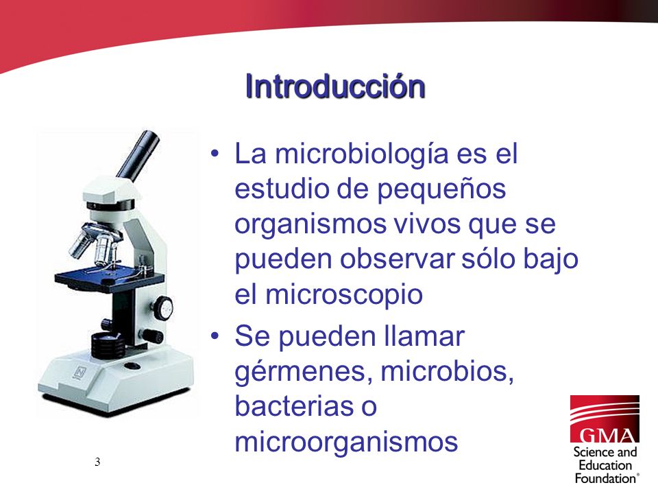 Introducción La microbiología es el estudio de pequeños organismos vivos que se pueden observar sólo bajo el microscopio.