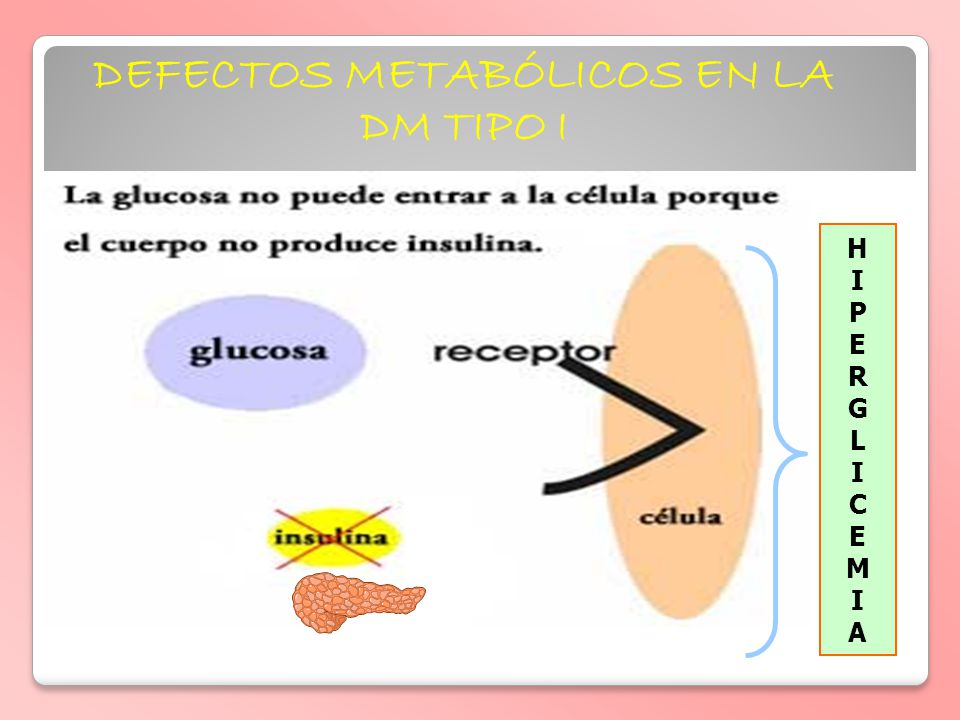 DEFECTOS METABÓLICOS EN LA DM TIPO I