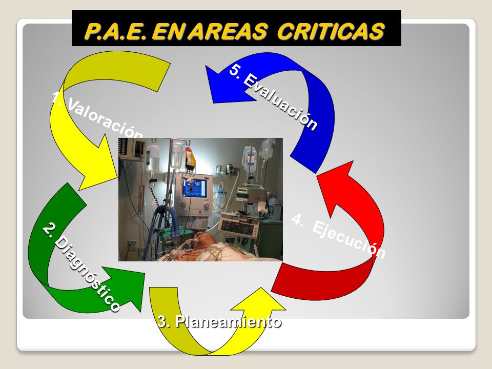 P.A.E. EN AREAS CRITICAS 5. Evaluación 1. Valoración 4. Ejecución