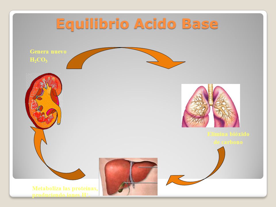 Equilibrio Acido Base Genera nuevo H2CO3 Elimina bióxido de carbono