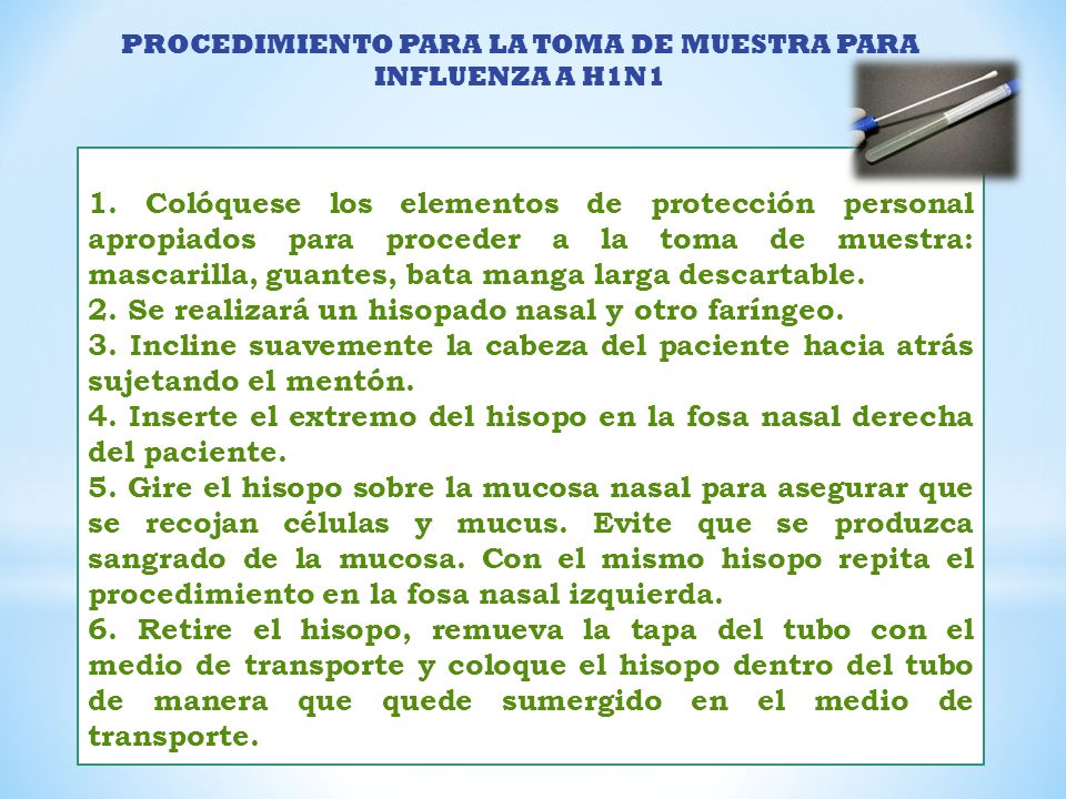 PROCEDIMIENTO PARA LA TOMA DE MUESTRA PARA INFLUENZA A H1N1