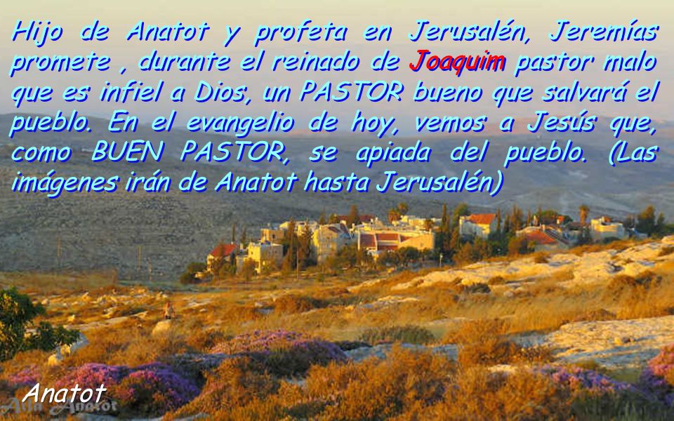 Hijo de Anatot y profeta en Jerusalén, Jeremías promete , durante el reinado de Joaquim pastor malo que es infiel a Dios, un PASTOR bueno que salvará el pueblo. En el evangelio de hoy, vemos a Jesús que, como BUEN PASTOR, se apiada del pueblo. (Las imágenes irán de Anatot hasta Jerusalén)