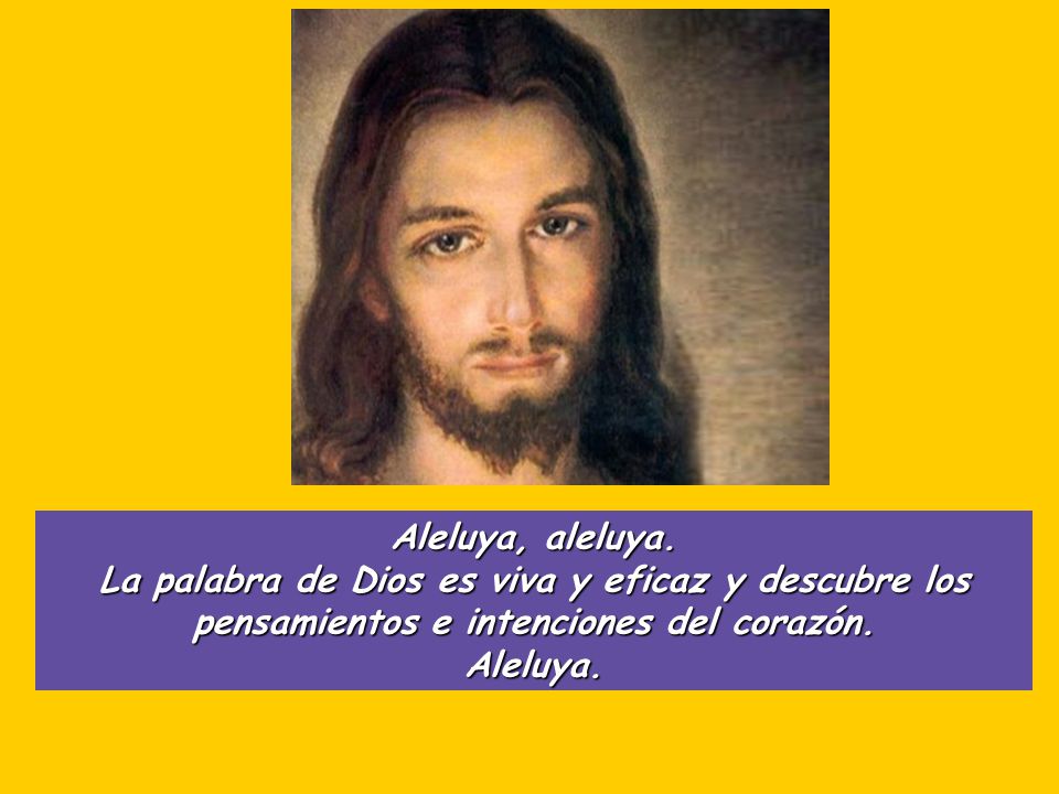 Aleluya, aleluya. La palabra de Dios es viva y eficaz y descubre los pensamientos e intenciones del corazón.