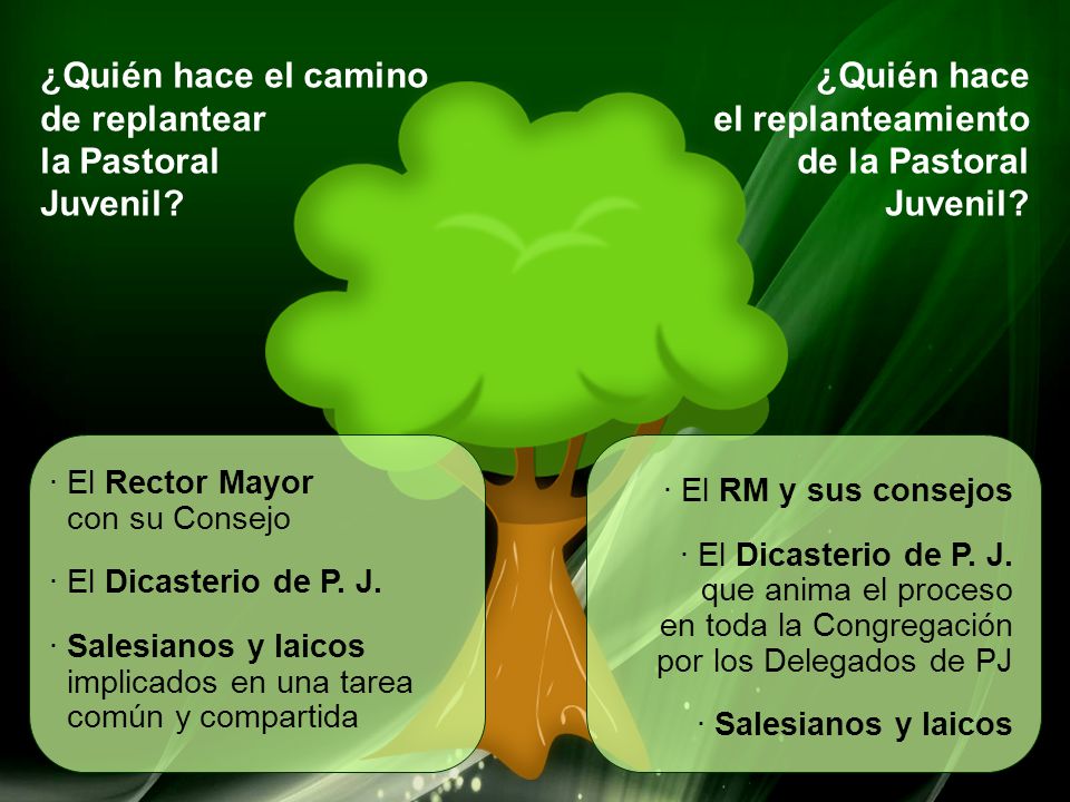 ¿Quién hace el camino de replantear la Pastoral Juvenil ¿Quién hace
