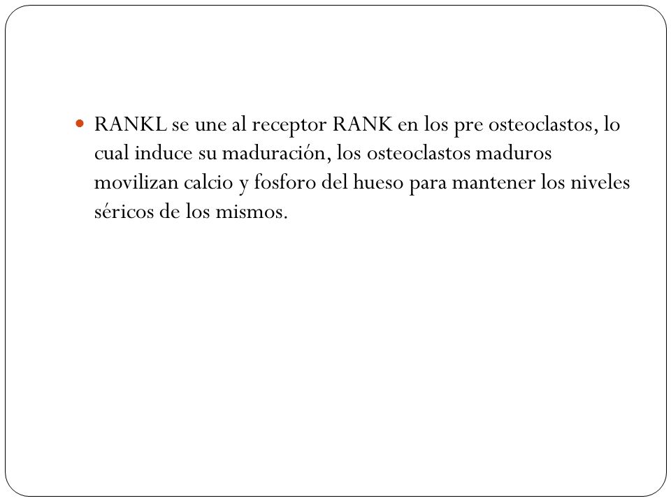 RANKL se une al receptor RANK en los pre osteoclastos, lo cual induce su maduración, los osteoclastos maduros movilizan calcio y fosforo del hueso para mantener los niveles séricos de los mismos.