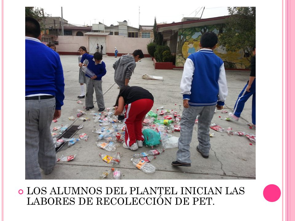 LOS ALUMNOS DEL PLANTEL INICIAN LAS LABORES DE RECOLECCIÓN DE PET.