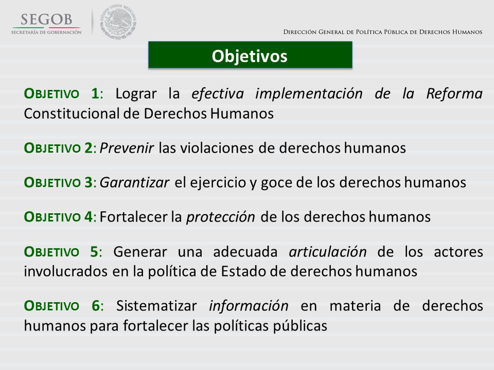 Objetivos Objetivo 1: Lograr la efectiva implementación de la Reforma Constitucional de Derechos Humanos.