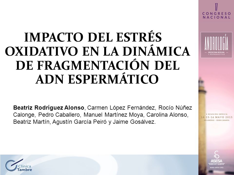 IMPACTO DEL ESTRÉS OXIDATIVO EN LA DINÁMICA DE FRAGMENTACIÓN DEL ADN ESPERMÁTICO