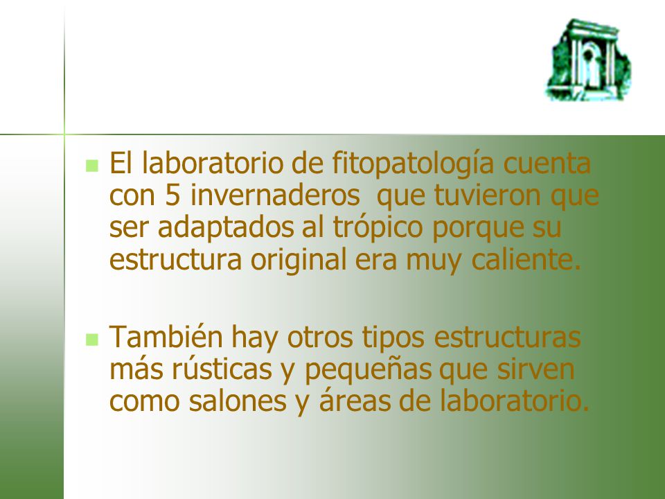 El laboratorio de fitopatología cuenta con 5 invernaderos que tuvieron que ser adaptados al trópico porque su estructura original era muy caliente.