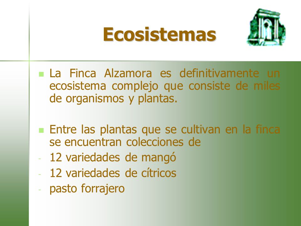 Ecosistemas La Finca Alzamora es definitivamente un ecosistema complejo que consiste de miles de organismos y plantas.
