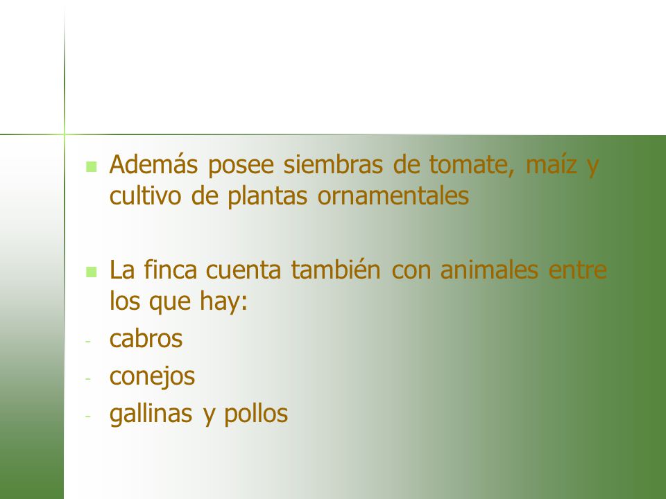 Además posee siembras de tomate, maíz y cultivo de plantas ornamentales