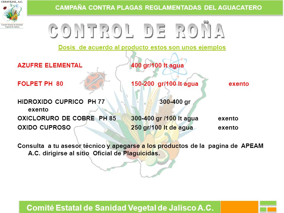 CONTROL DE ROÑA Comité Estatal de Sanidad Vegetal de Jalisco A.C.