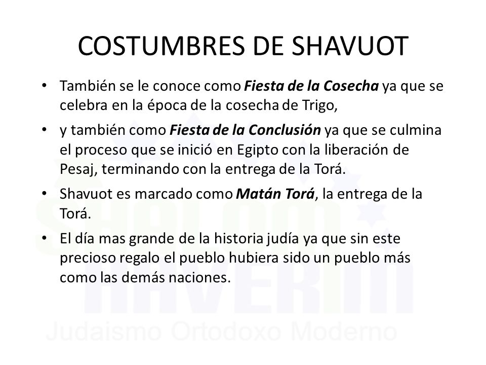 COSTUMBRES DE SHAVUOT También se le conoce como Fiesta de la Cosecha ya que se celebra en la época de la cosecha de Trigo,