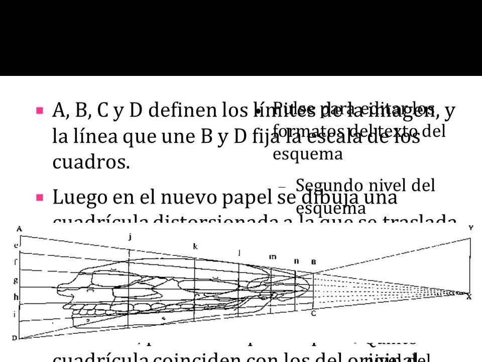 A, B, C y D definen los límites de la imagen, y la línea que une B y D fija la escala de los cuadros.