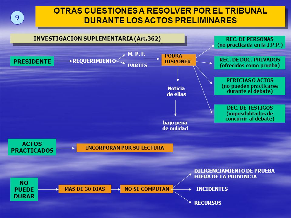 OTRAS CUESTIONES A RESOLVER POR EL TRIBUNAL DURANTE LOS ACTOS PRELIMINARES