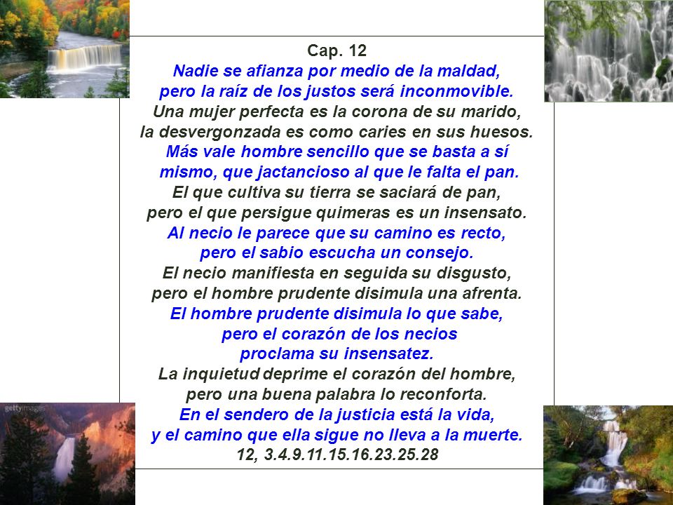 Cap. 12 Nadie se afianza por medio de la maldad,