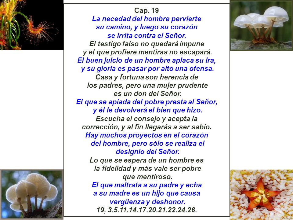 La necedad del hombre pervierte su camino, y luego su corazón