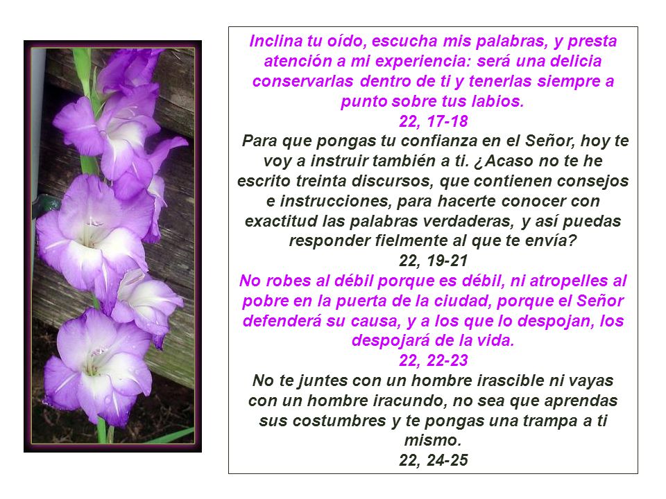 Inclina tu oído, escucha mis palabras, y presta atención a mi experiencia: será una delicia conservarlas dentro de ti y tenerlas siempre a punto sobre tus labios. 22, 17-18