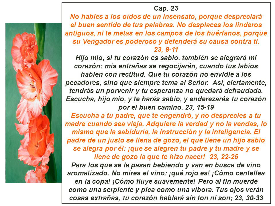 Cap. 23 No hables a los oídos de un insensato, porque despreciará