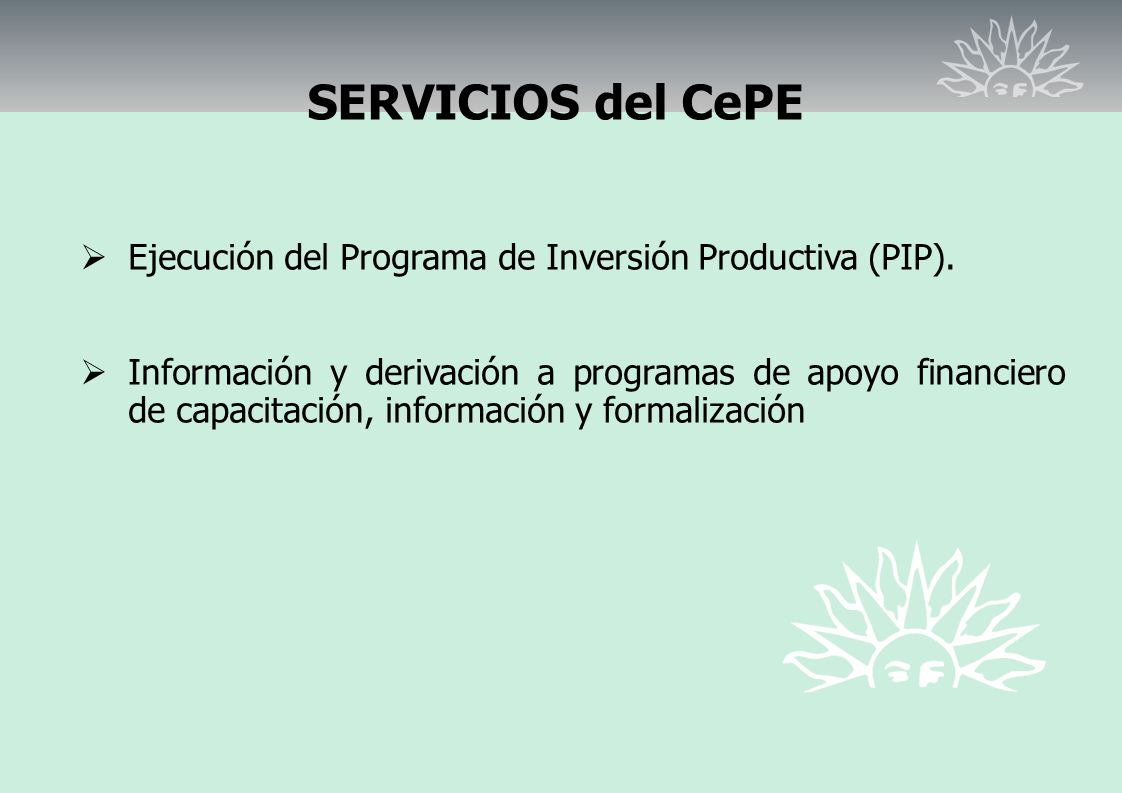 SERVICIOS del CePE Ejecución del Programa de Inversión Productiva (PIP).