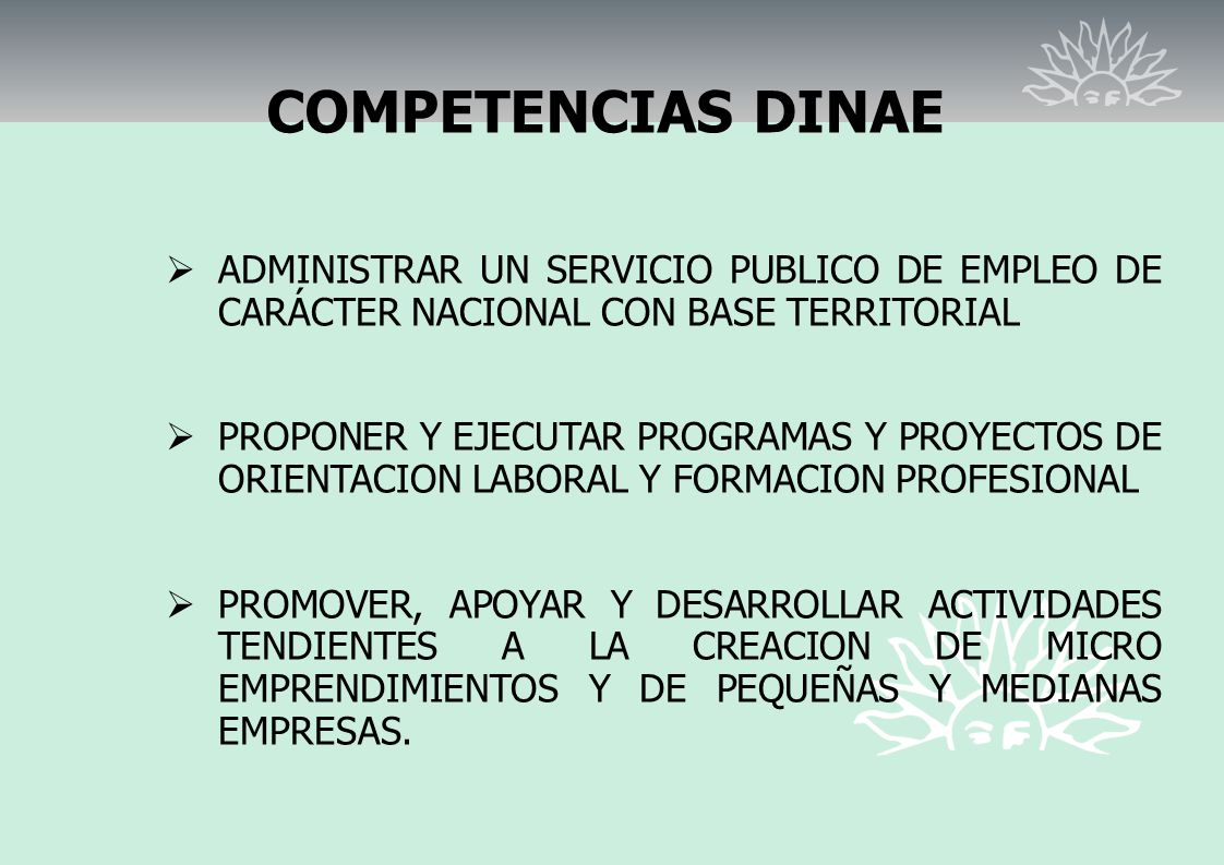 COMPETENCIAS DINAE ADMINISTRAR UN SERVICIO PUBLICO DE EMPLEO DE CARÁCTER NACIONAL CON BASE TERRITORIAL.