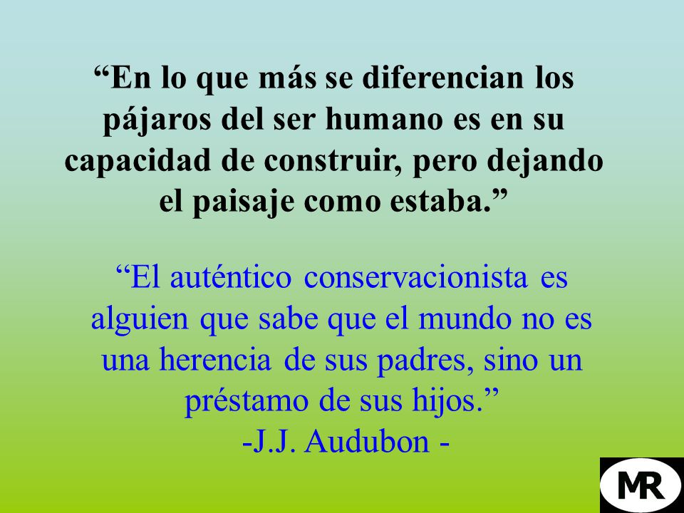 En lo que más se diferencian los pájaros del ser humano es en su capacidad de construir, pero dejando el paisaje como estaba.