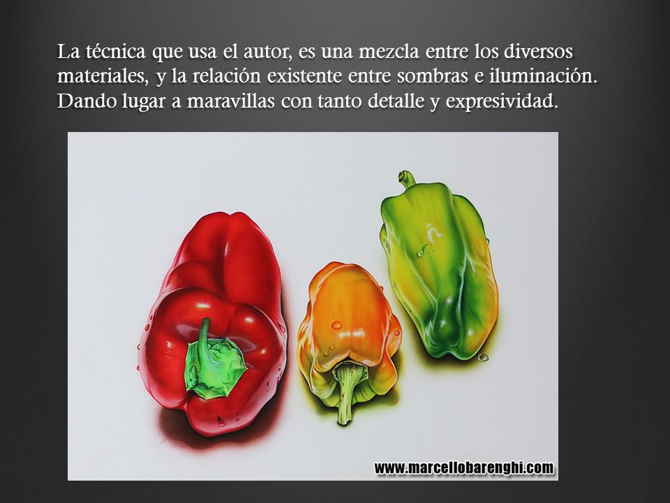 La técnica que usa el autor, es una mezcla entre los diversos materiales, y la relación existente entre sombras e iluminación.