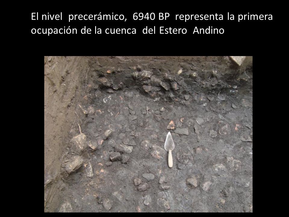 El nivel precerámico, 6940 BP representa la primera ocupación de la cuenca del Estero Andino