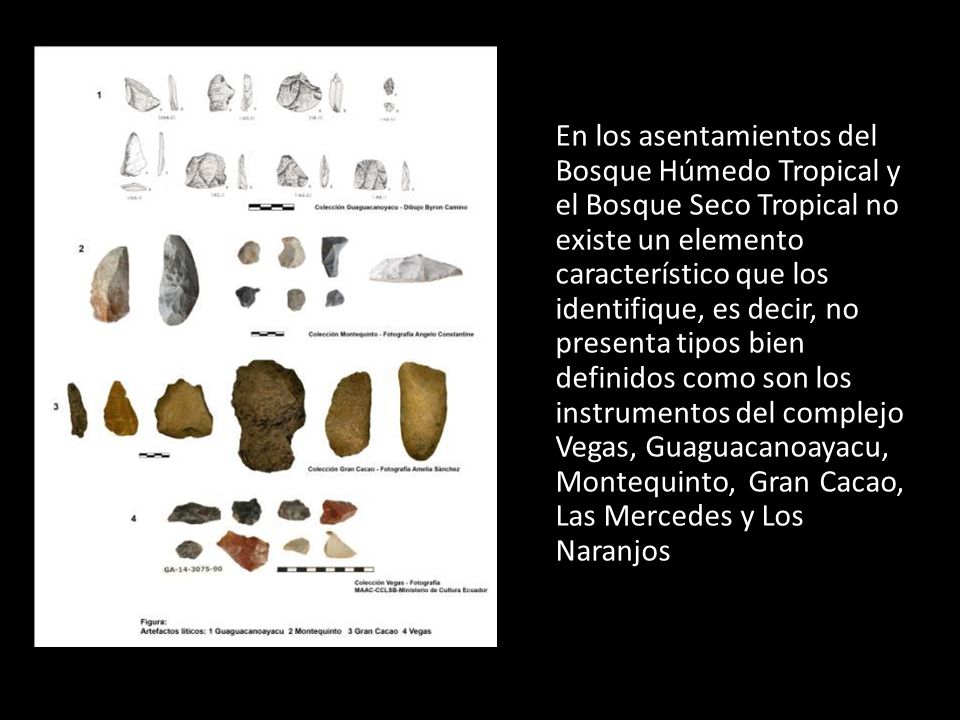 En los asentamientos del Bosque Húmedo Tropical y el Bosque Seco Tropical no existe un elemento característico que los identifique, es decir, no presenta tipos bien definidos como son los instrumentos del complejo Vegas, Guaguacanoayacu, Montequinto, Gran Cacao, Las Mercedes y Los Naranjos